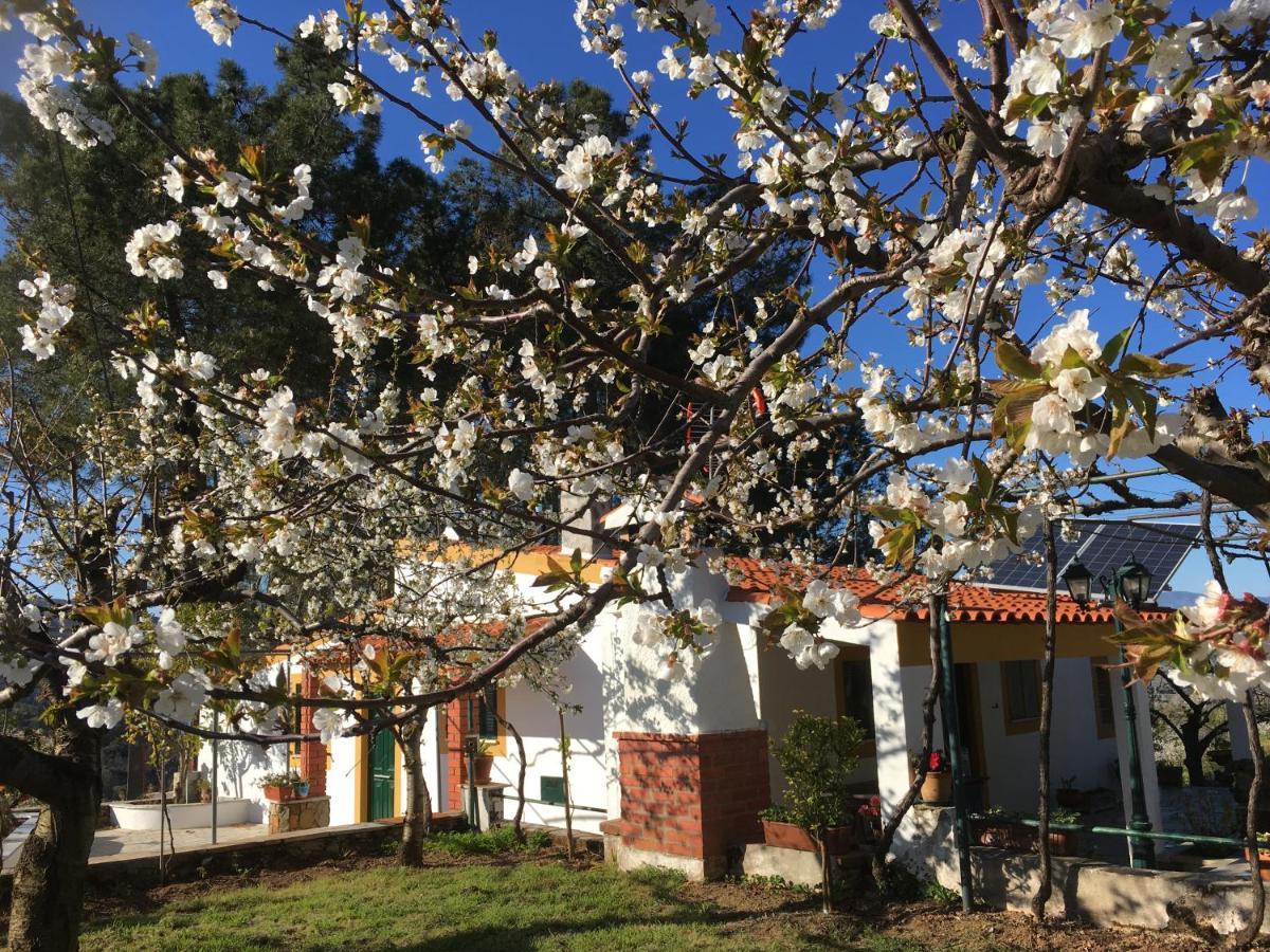 Casas De Campo Em Cerejal Fundão Exterior photo